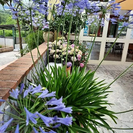 Cuoreverde Pollino ロトンダ