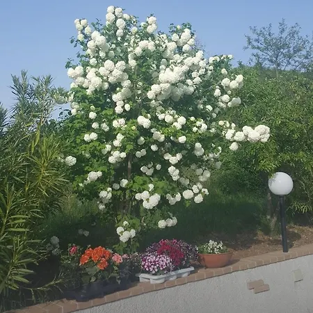 Cuoreverde Pollino 3*