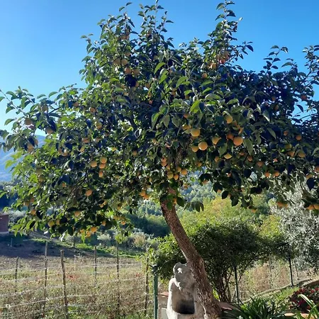 Cuoreverde Pollino 3*